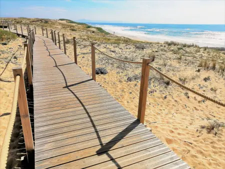 Appartement lumineux à 4 min de la plage avec terrasse, parking privé et WIFI ! - Photo 23