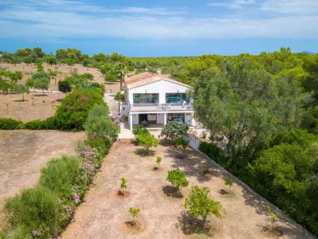Finca Son Baulo, Maison 4 personnes à Can Picafort - Photo 36
