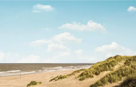 Location Appartement 5 personnes à Bredene - Photo 14