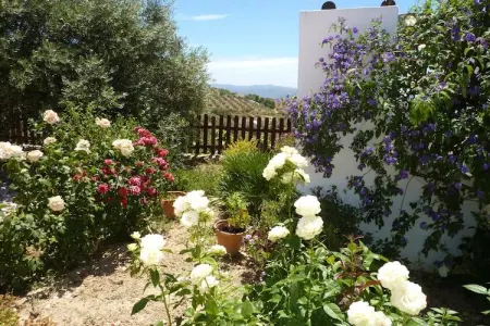 Casa Coqui & Juan Ramón, Escapade dans une villa à la campagne - Photo 17