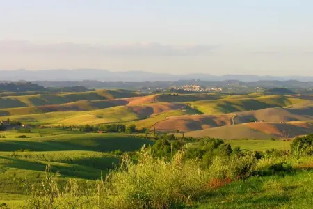 Podere San Giovanni, Ferme dans les collines de Pisan avec piscine - Photo 38
