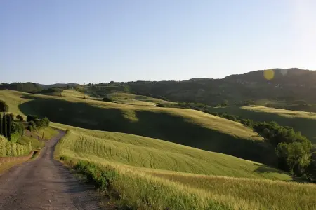 Podere San Giovanni, Ferme dans les collines de Pisan avec piscine - Photo 39