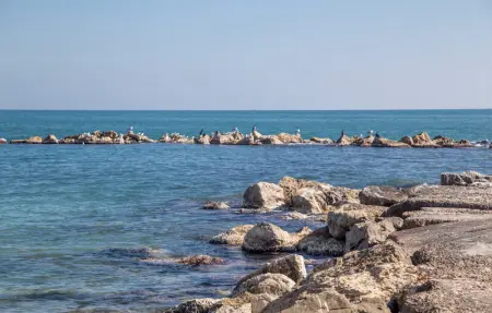 Location Appartement 6 personnes à Vinaròs - Photo 18