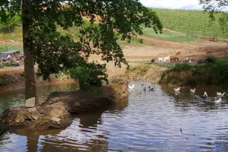 Le Passe Temps, Maison à Aquitaine avec Bain à Bulles - Photo 55