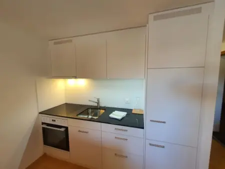 Casa Fadail Seura 11, Appartement 4 personnes à Lenzerheide - Photo 5