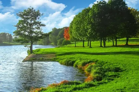 Vakantiehuis Museum Binsfeld, Maison 20 personnes à Binsfeld - Photo 36