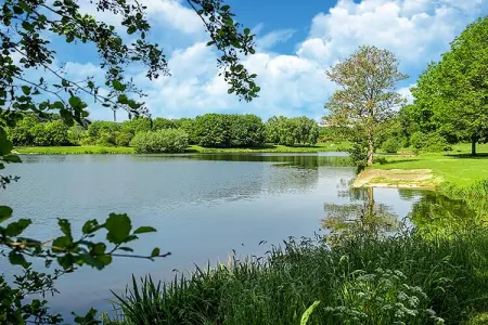 Vakantiehuis Museum Binsfeld, Maison 20 personnes à Binsfeld - Photo 37