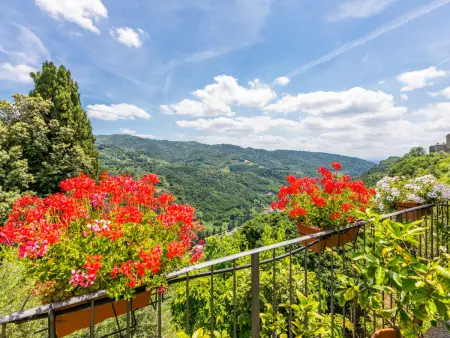 Poggetto Pellegrini, Maison 6 personnes à Pescia - Photo 47