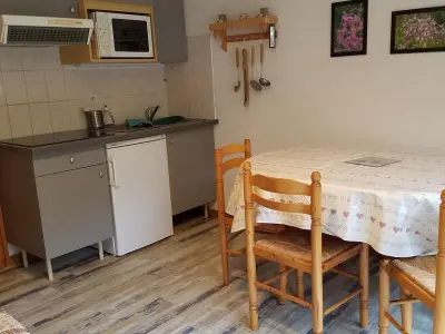 Appartement à Châtel, Charmant 2 pièces à Châtel, proche remontées, balcon sud/est, tout équipé, 5 pers. - L969275