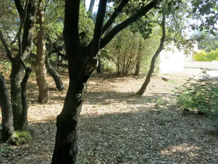 Les Algues, Maison 4 personnes à La Tranche sur Mer - Photo 16