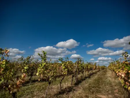 Bellegarde, Maison 4 personnes à Belaye - Photo 31