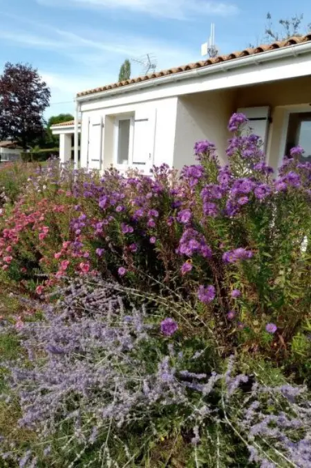 Le Domaine du Lambon, Maison 6 personnes à Prailles La Couarde - Photo 34