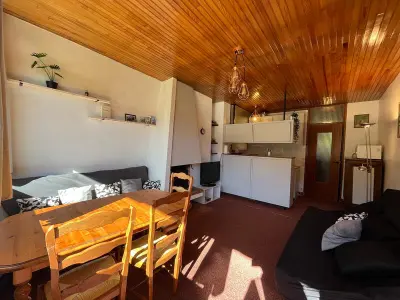 Appartement à Pra Loup, Appartement lumineux sur piste avec balcon et réductions ski - N°969656