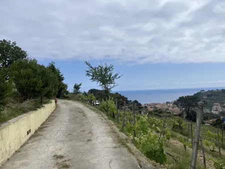 Le Terrazze del Geco Bungalow A (SLR300), Maison 4 personnes à San Lorenzo al Mare - Photo 35