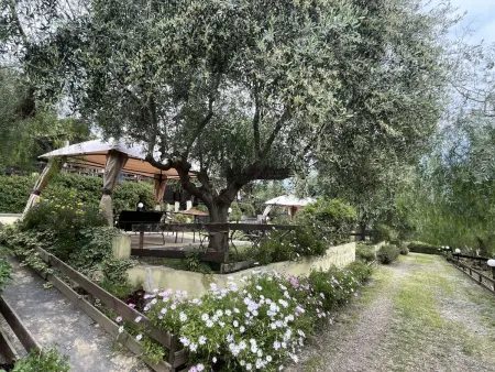 Le Terrazze del Geco Bungalow A (SLR300), Maison 4 personnes à San Lorenzo al Mare - Photo 43