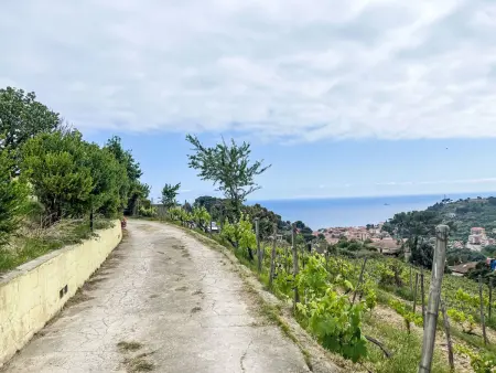 Le Terrazze del Geco Bungalow B (SLR301), Maison 5 personnes à San Lorenzo al Mare - Photo 47