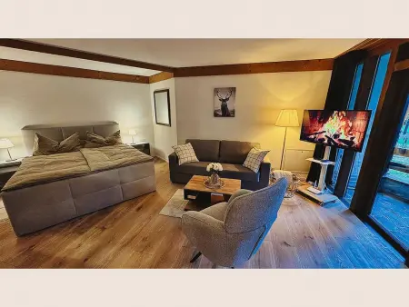 Am Dürrbach 4/413, Appartement 2 personnes à Engelberg - Photo 4
