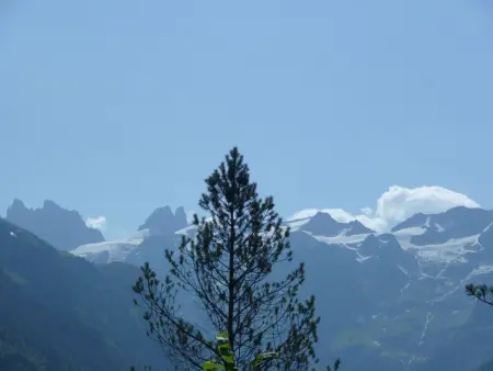 Am Dürrbach 4/413, Appartement 2 personnes à Engelberg - Photo 18