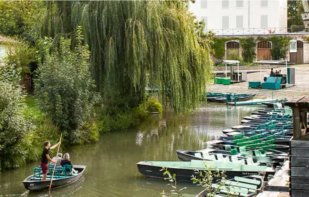 Location Maison 4 personnes à Souvigne - Photo 15