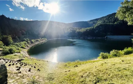 Location Maison 8 personnes à Labaroche - Photo 14