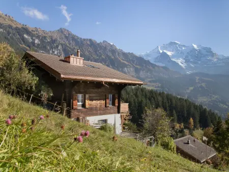 Jungfrau a d Ledi, Chalet 3 personnes à Wengen - Photo 4