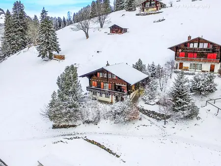 Jungfrau a d Ledi, Chalet 3 personnes à Wengen - Photo 26