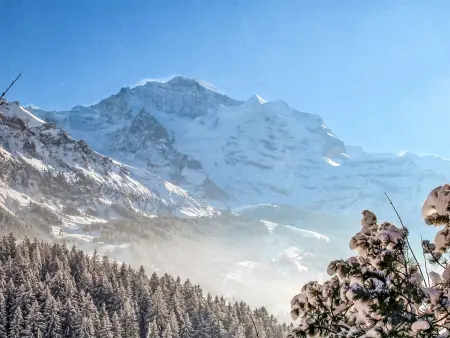 Jungfrau a d Ledi, Chalet 3 personnes à Wengen - Photo 28