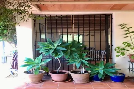Casa Lourdes, Villa à Ibiza proche de Benirràs - Photo 30