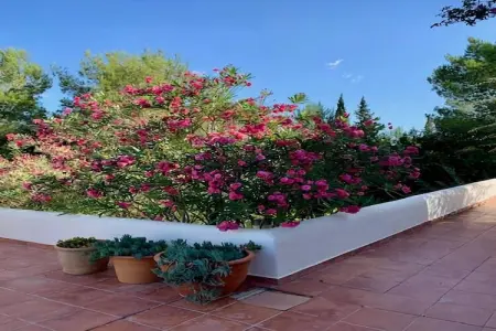 Casa Lourdes, Villa à Ibiza proche de Benirràs - Photo 32