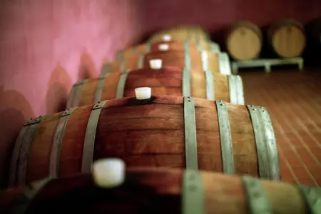 Villa Angeli, Manoir ombrien entouré de vignobles - Photo 35