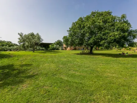 Rosmarino, Gite 2 personnes à Pitigliano - Photo 33