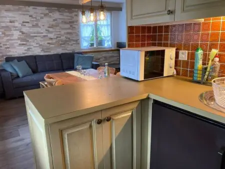 Hubertus 396 d, Appartement 4 personnes à Habkern - Photo 4