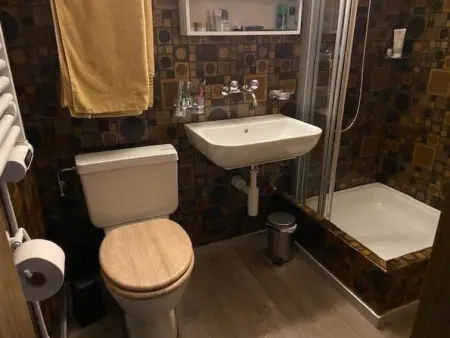 Hubertus 396 d, Appartement 4 personnes à Habkern - Photo 9