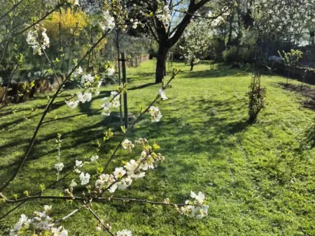 Maison familiale avec jardin, proche de Compiègne, Beauvais et Chantilly, idéale pour 6 pers. - Photo 35