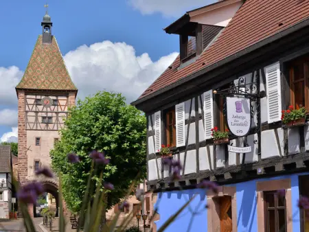 Gîte charmant au calme, 2 personnes, proche vignobles et châteaux, animaux acceptés, terrasse jardin - Photo 4