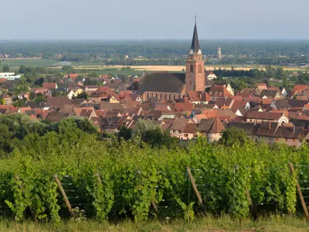 Gîte charmant au calme, 2 personnes, proche vignobles et châteaux, animaux acceptés, terrasse jardin - Photo 5