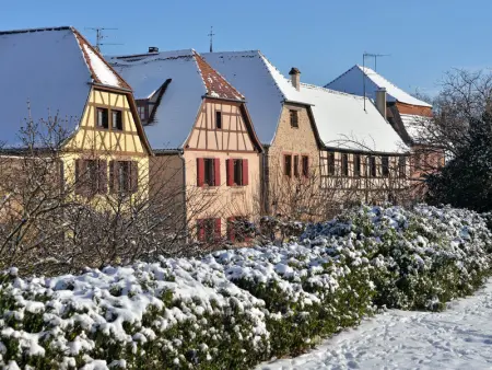 Gîte charmant au calme, 2 personnes, proche vignobles et châteaux, animaux acceptés, terrasse jardin - Photo 27