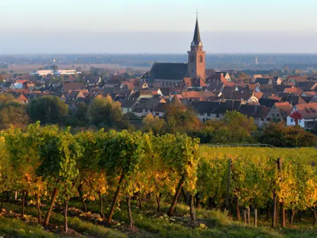 Gîte charmant au calme, 2 personnes, proche vignobles et châteaux, animaux acceptés, terrasse jardin - Photo 28
