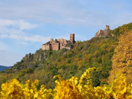 Gîte charmant au calme, 2 personnes, proche vignobles et châteaux, animaux acceptés, terrasse jardin - Photo 29