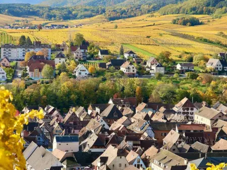 Gîte charmant au calme, 2 personnes, proche vignobles et châteaux, animaux acceptés, terrasse jardin - Photo 31