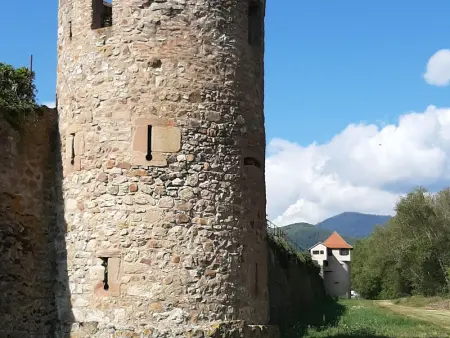 Gîte charmant au calme, 2 personnes, proche vignobles et châteaux, animaux acceptés, terrasse jardin - Photo 32