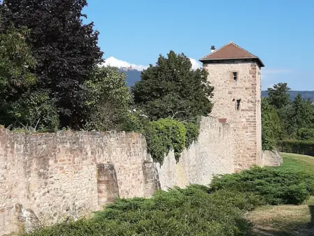 Gîte charmant au calme, 2 personnes, proche vignobles et châteaux, animaux acceptés, terrasse jardin - Photo 34