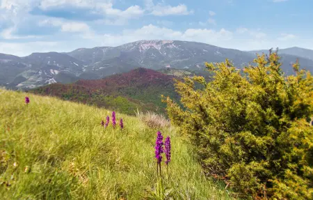 Location Appartement 6 personnes à Ruoms - Photo 9