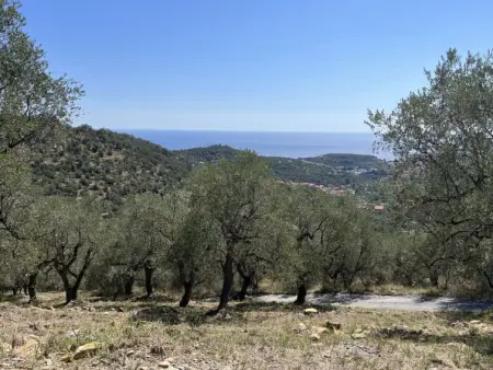 Villa Antica Pineta, Villa 10 personnes à Imperia - Photo 24