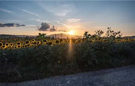 Location Appartement 5 personnes à Ficulle - Photo 39