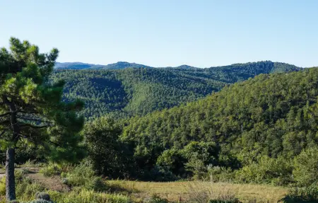 Location Maison 14 personnes à Anghiari - Photo 25