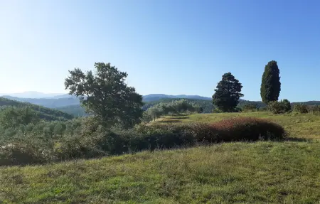 Location Maison 14 personnes à Anghiari - Photo 26