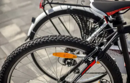 Villa Bura, Maison 8 personnes à Nin - Photo 28