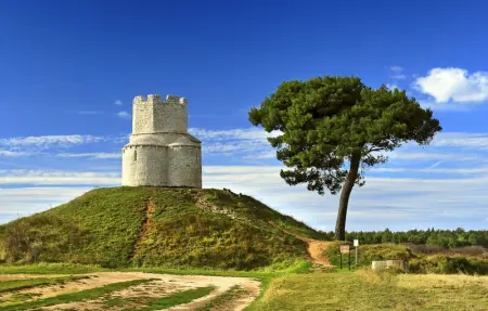 Villa South, Maison 8 personnes à Zaton - Photo 41