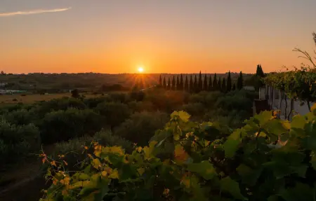 Villa Alba, Maison 10 personnes à Zadar - Photo 21